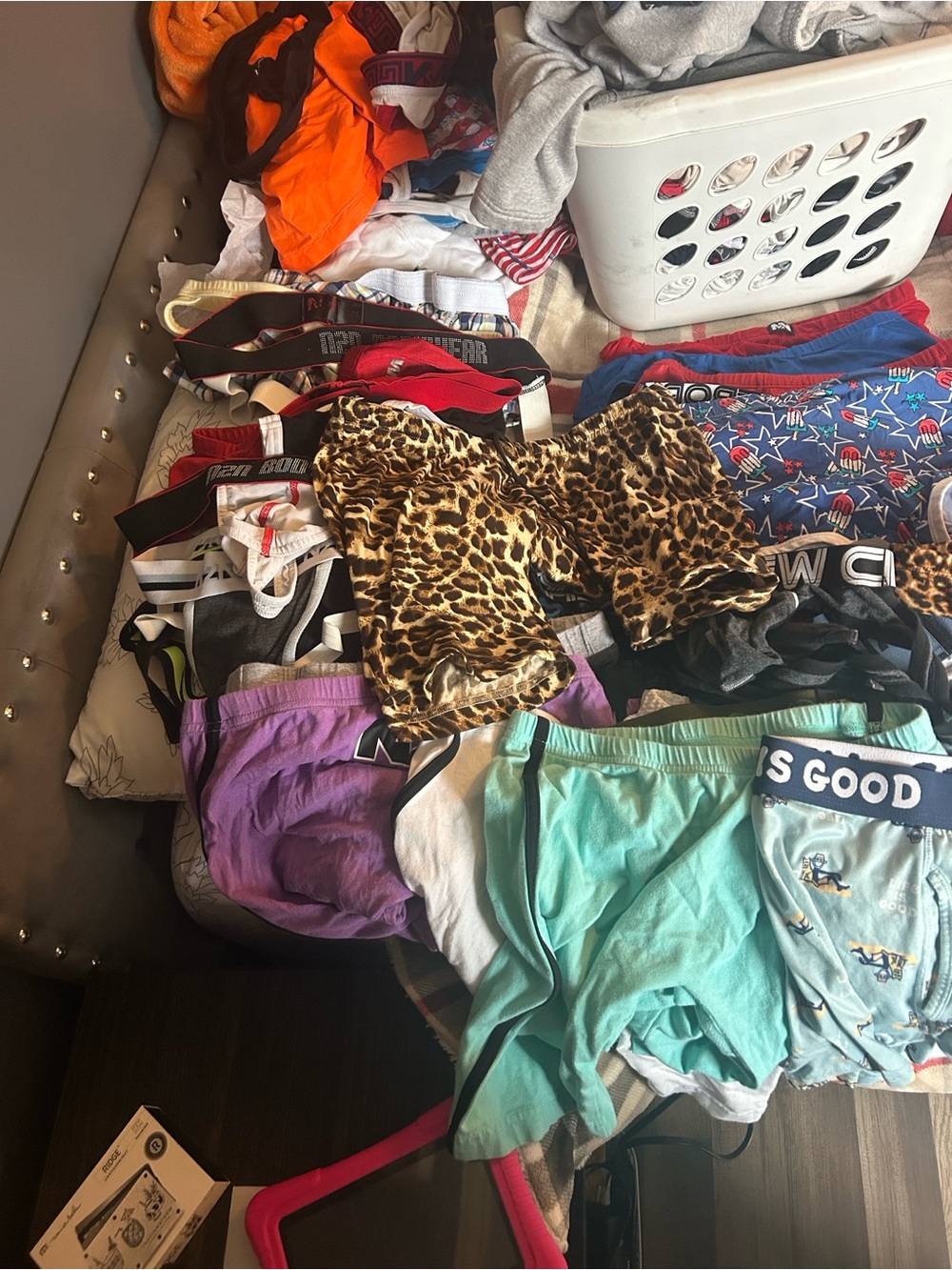 Assorted Printed & Striped Underwear Bundle - Multi Color - Picture 2 of 5